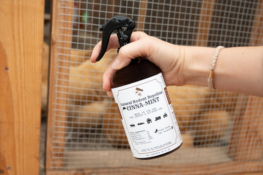 How to Keep Mice Out of Your Garage (Without Using Poison)