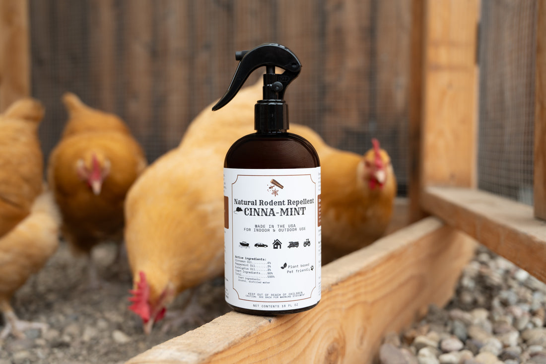 The Natural Power of Peppermint and Cinnamon: Why Essential Oils Work for Pest Control